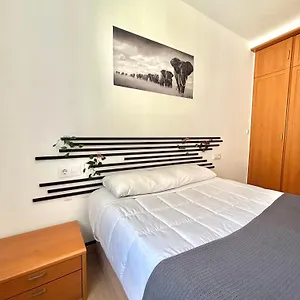  Apartamento Piso Centrico Con Parking Gratis